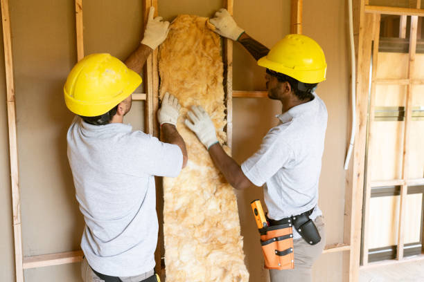 Best Blown-in Insulation  in Charleston, WV
