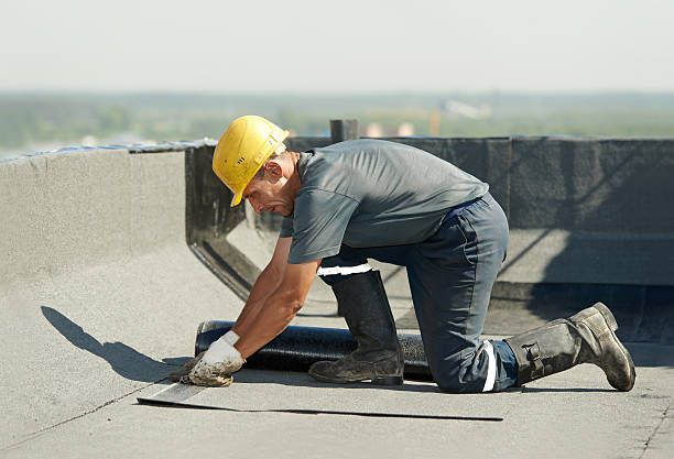 Best Wall Insulation Contractor  in Charleston, WV