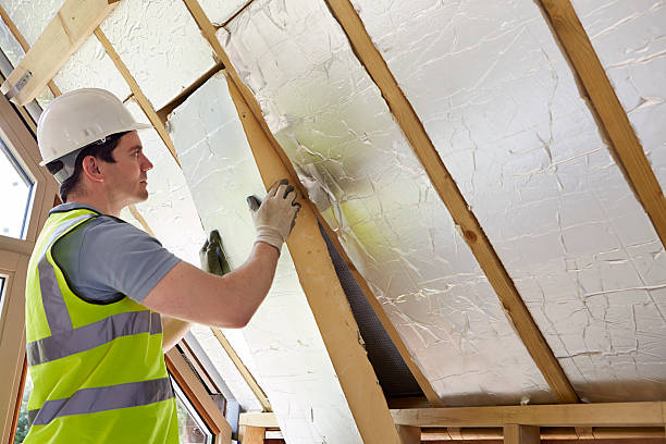 Best Insulation Contractors for Homes  in Charleston, WV